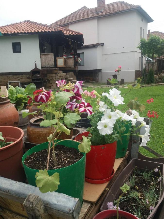 ホテル Събевата Къща Sinio Burdo エクステリア 写真